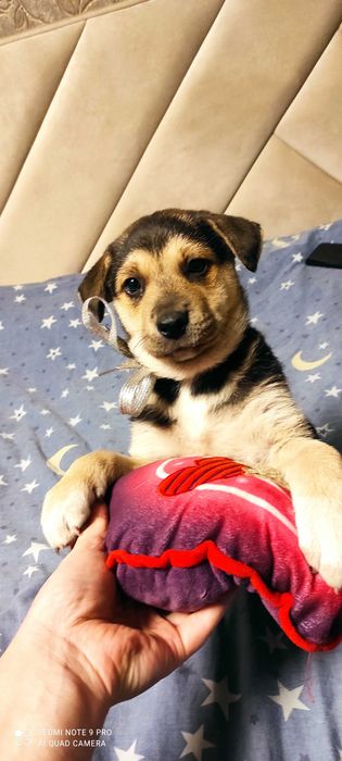 Маленька крихітка шукає родину.