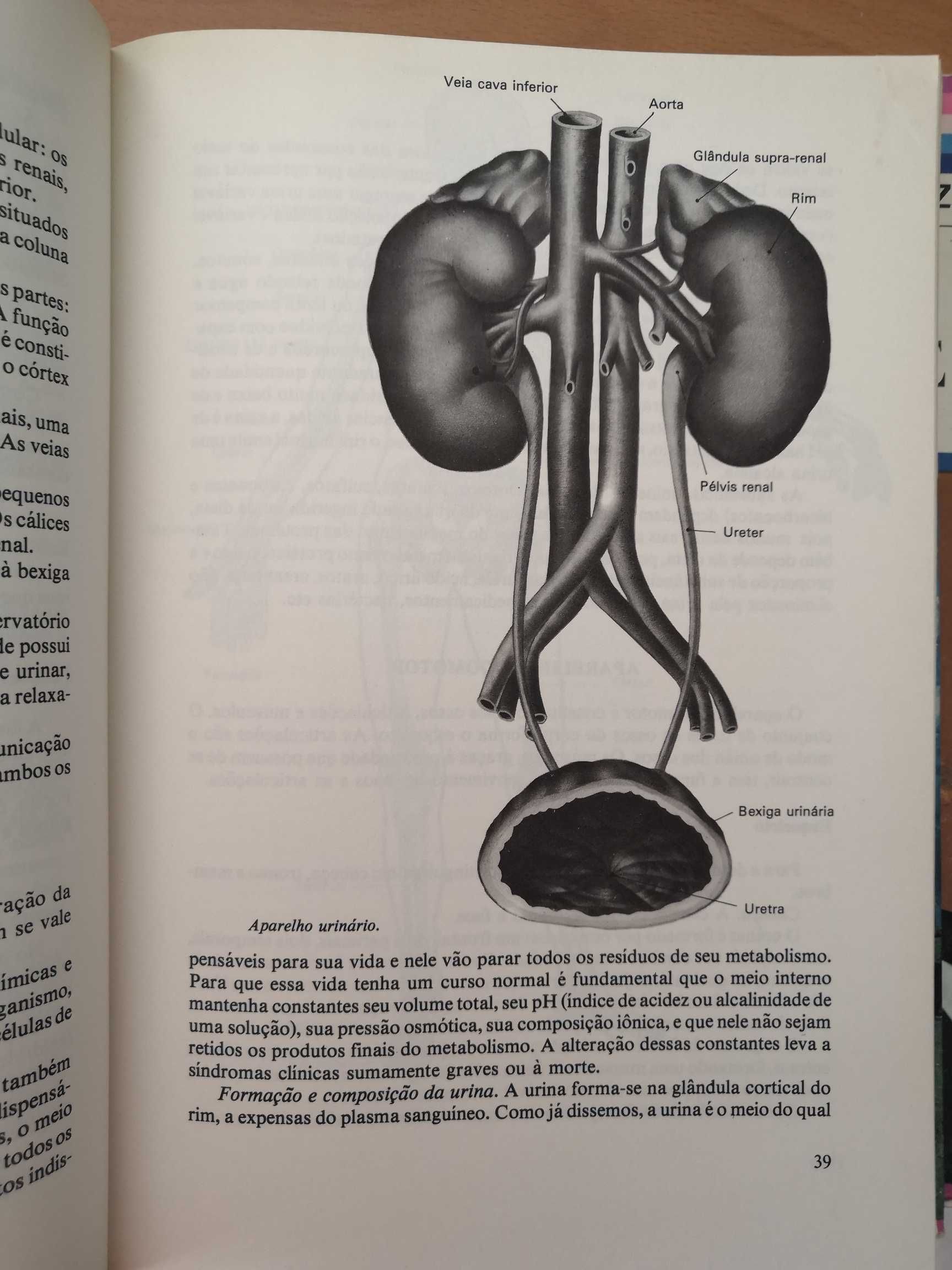 Livros enfermagem e medecina