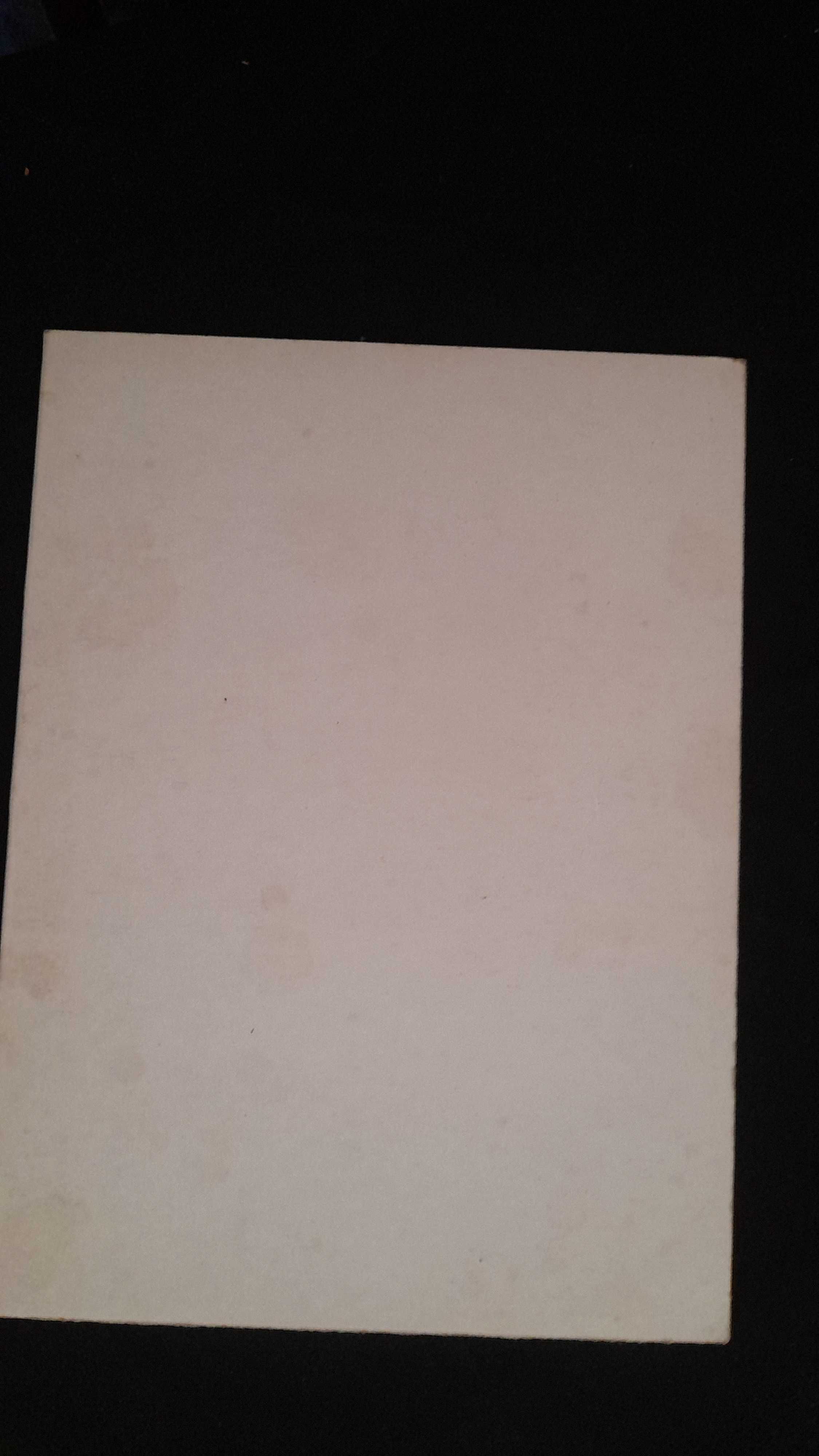 Livro Historia dos Grilos Amigos da Minha Infancia