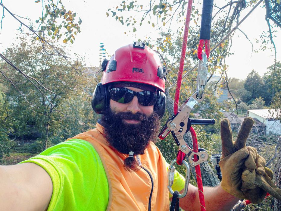 Зрізання аварійних дерев