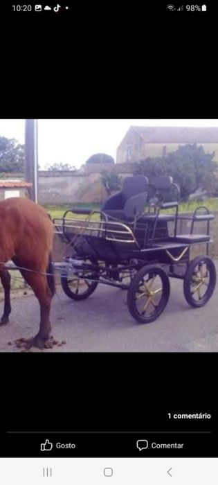 Maratona cavalos