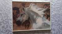 obraz obrazek koń portret na ścianę