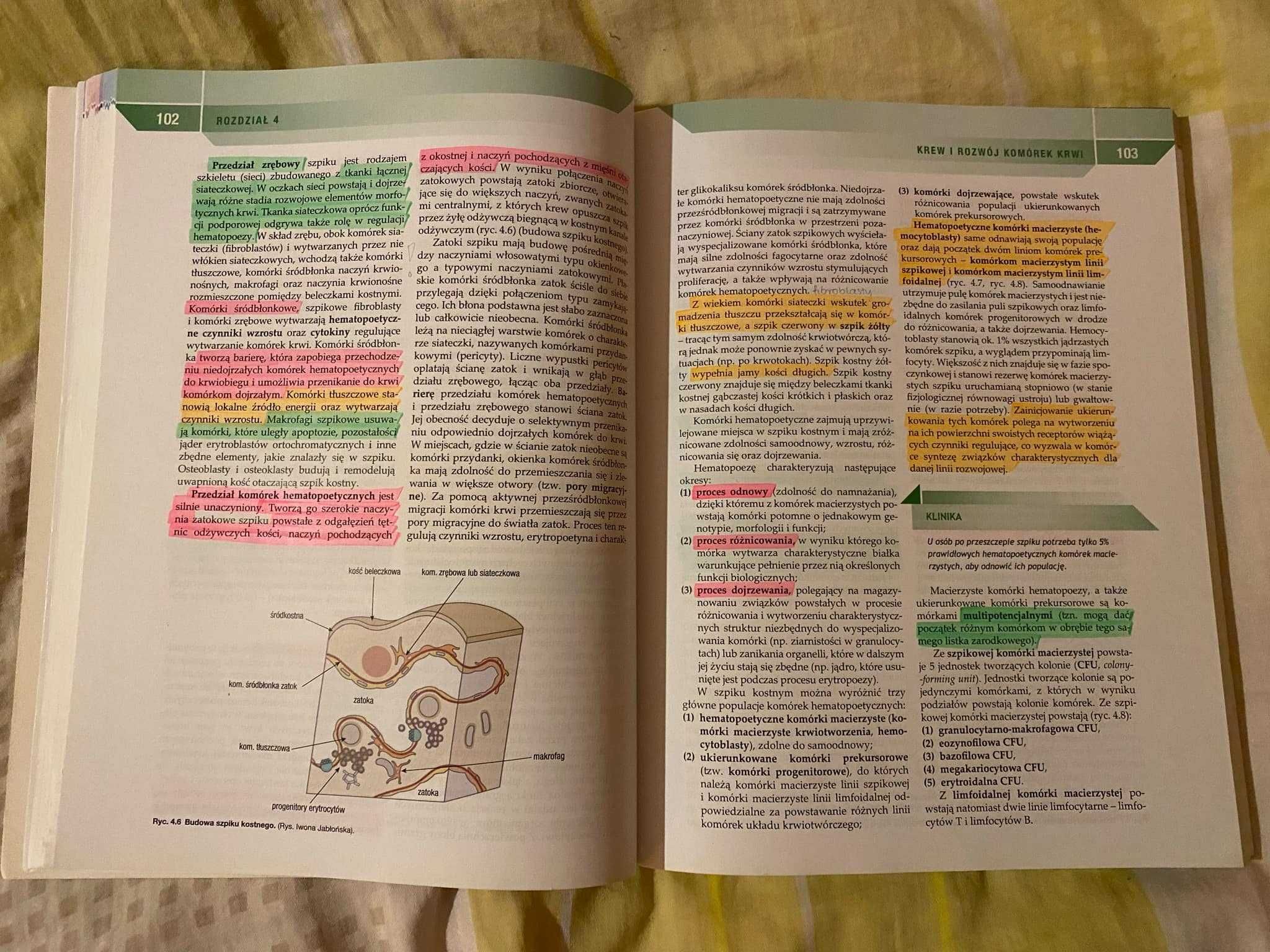 Histologia Zabel podręcznik do histologii
