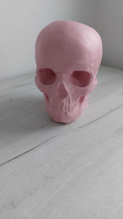 Череп (декор для тату студії)