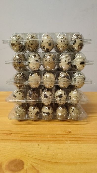 Jajka przepiórcze 18 szt. AKTUALNE