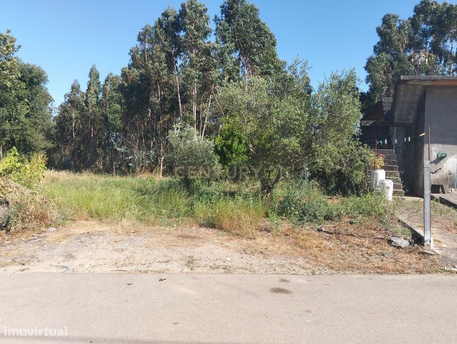 Terreno em Mamodeiro: Perto de Autoestrada e Comércio