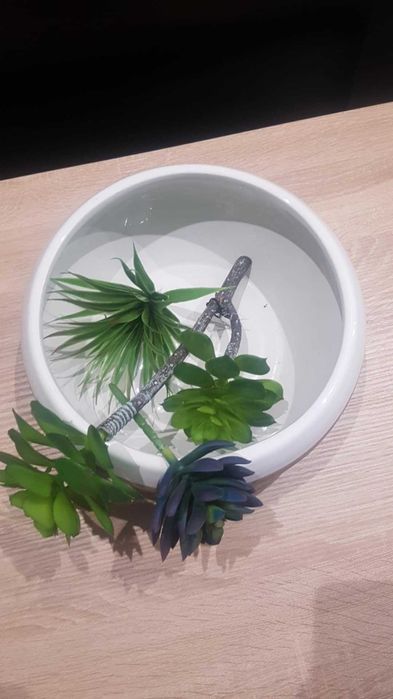 Misa ceramiczna  Home and  You
