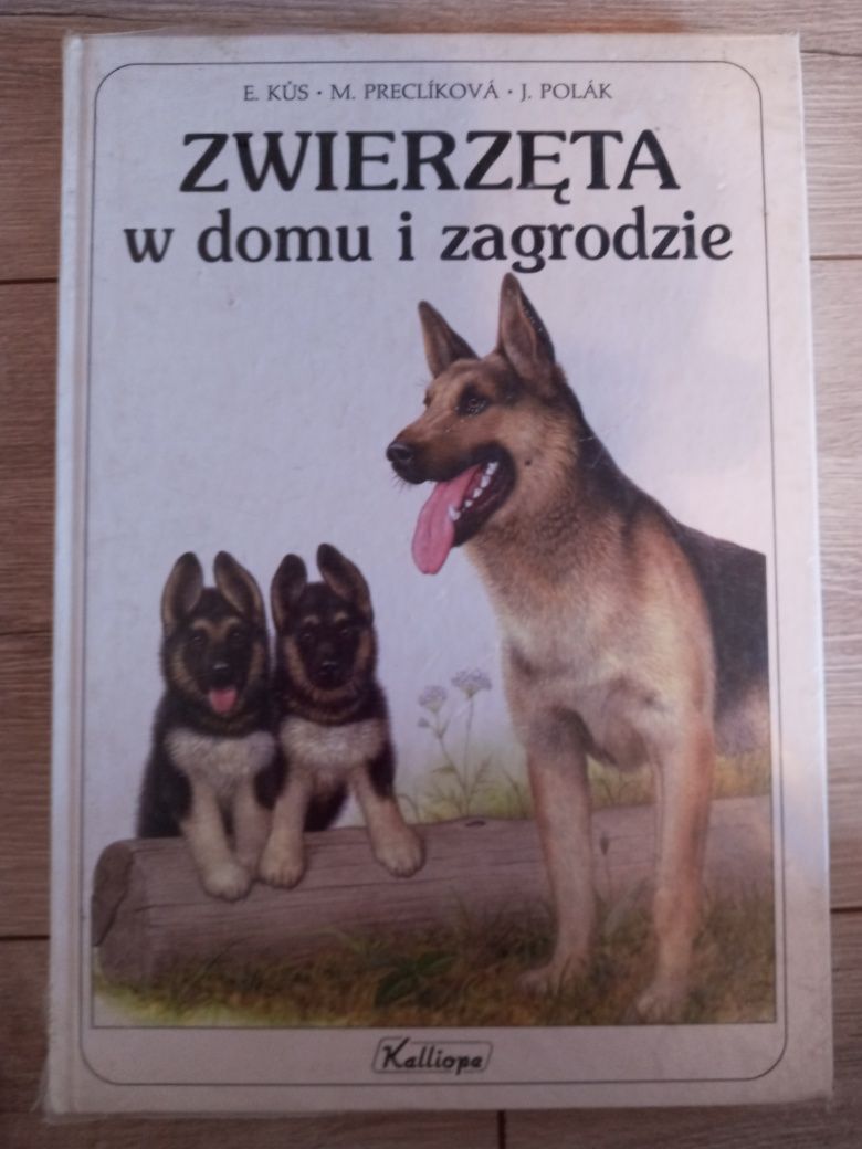 Książka zwierzęta w domu i zagrodzie