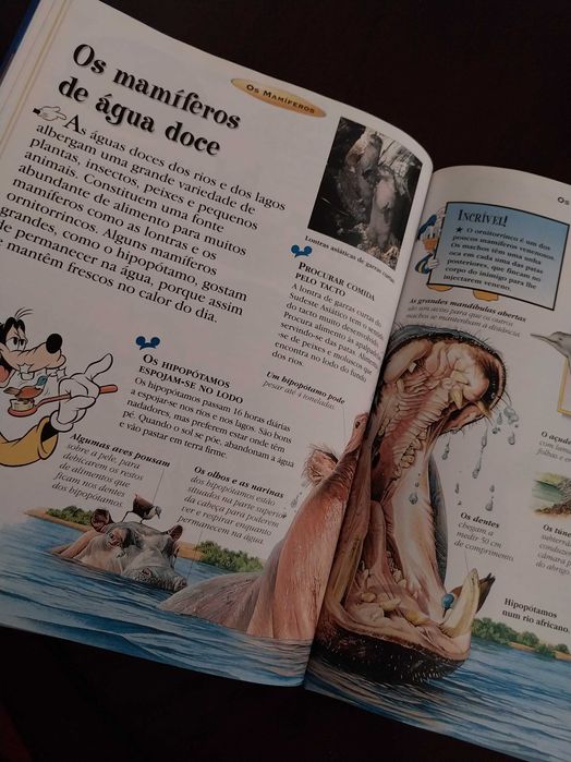 O Maravilhoso Mundo do Conhecimento, Os Mamíferos, Disney