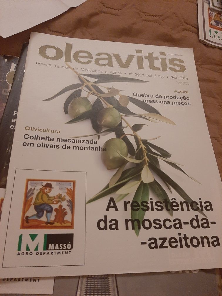 Revistaa oleavitis e enovitis