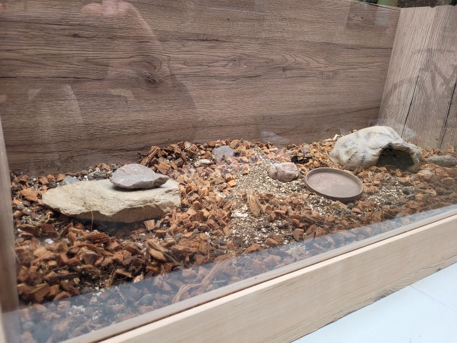 Terrarium dla żółwia