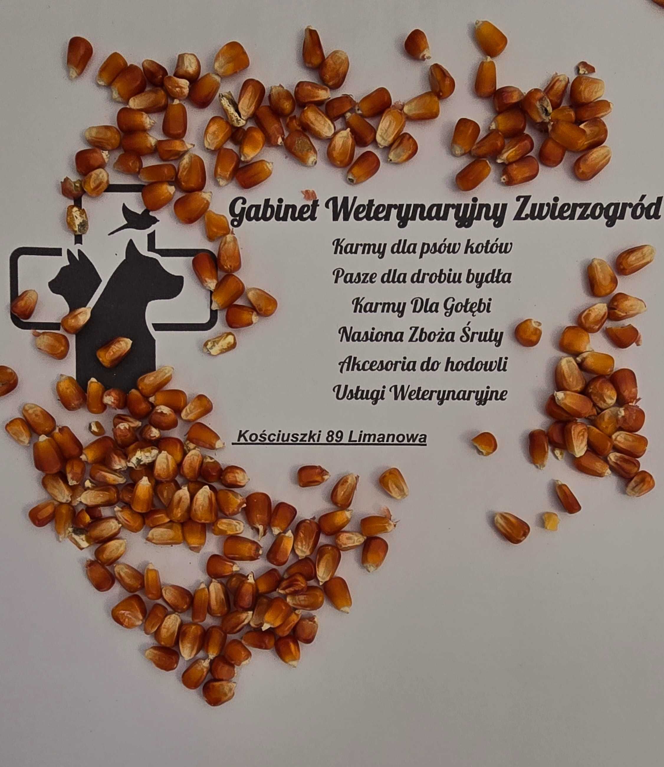 Kukurydza Czerwona Czyszczona dla Gołębi Drobiu 10 kg-->VetZwierzogród
