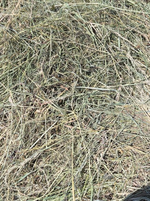 Siano dla królików i gryzoni 4 kg