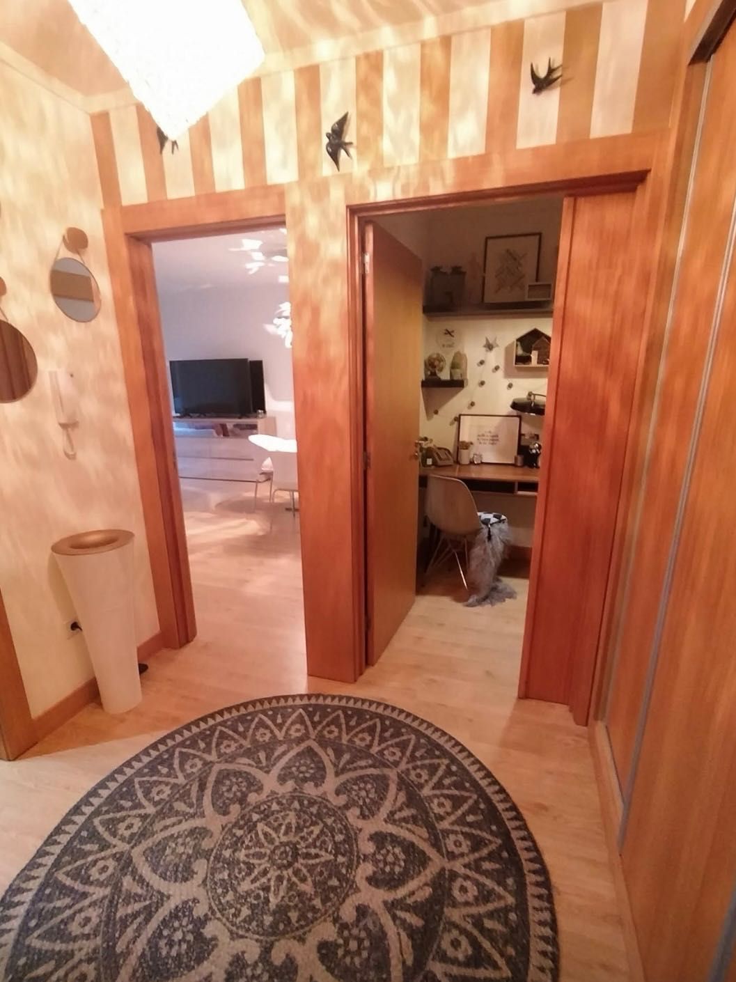 Vende-se T1 luxo