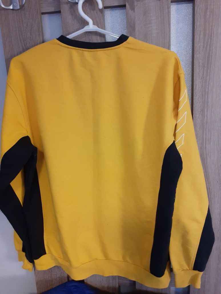 Bluza Vive Targi Kielce