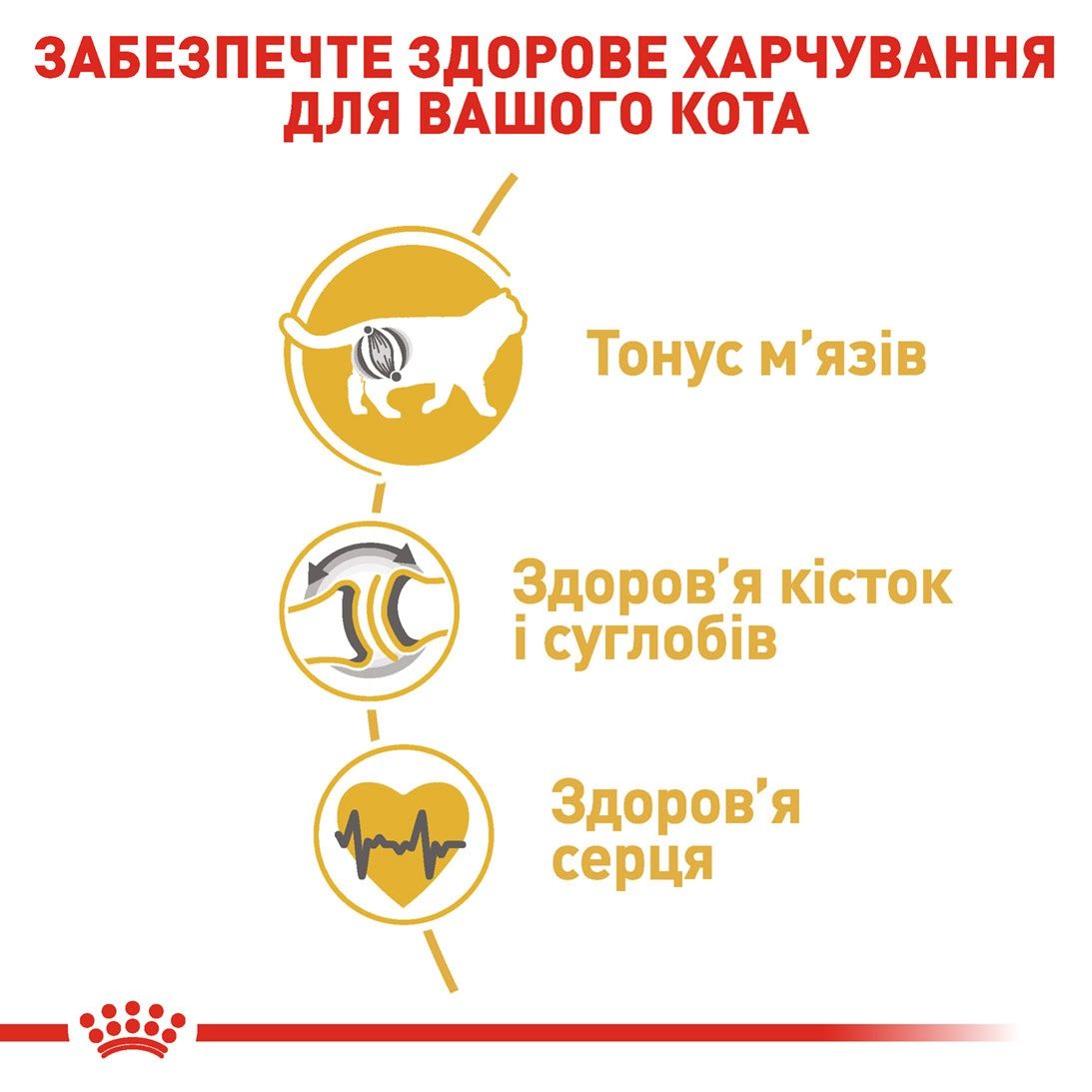 Royal Canin British Shorthair 2кг, Роял Канін для британців