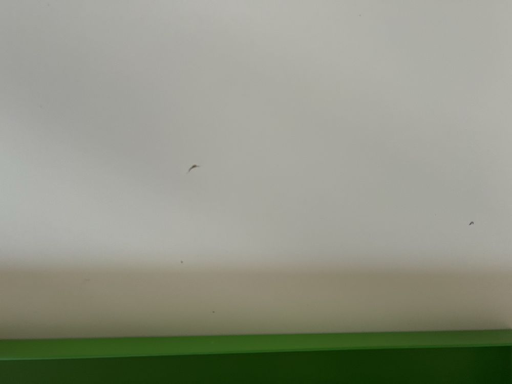 Biurko IKEA do oddania za darmo
