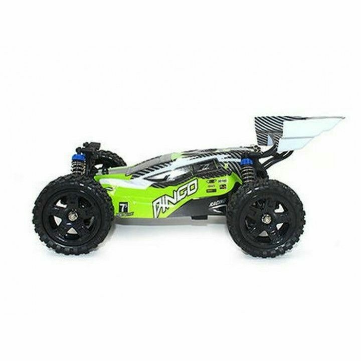 Remo Hobby Dingo 1651 Buggy