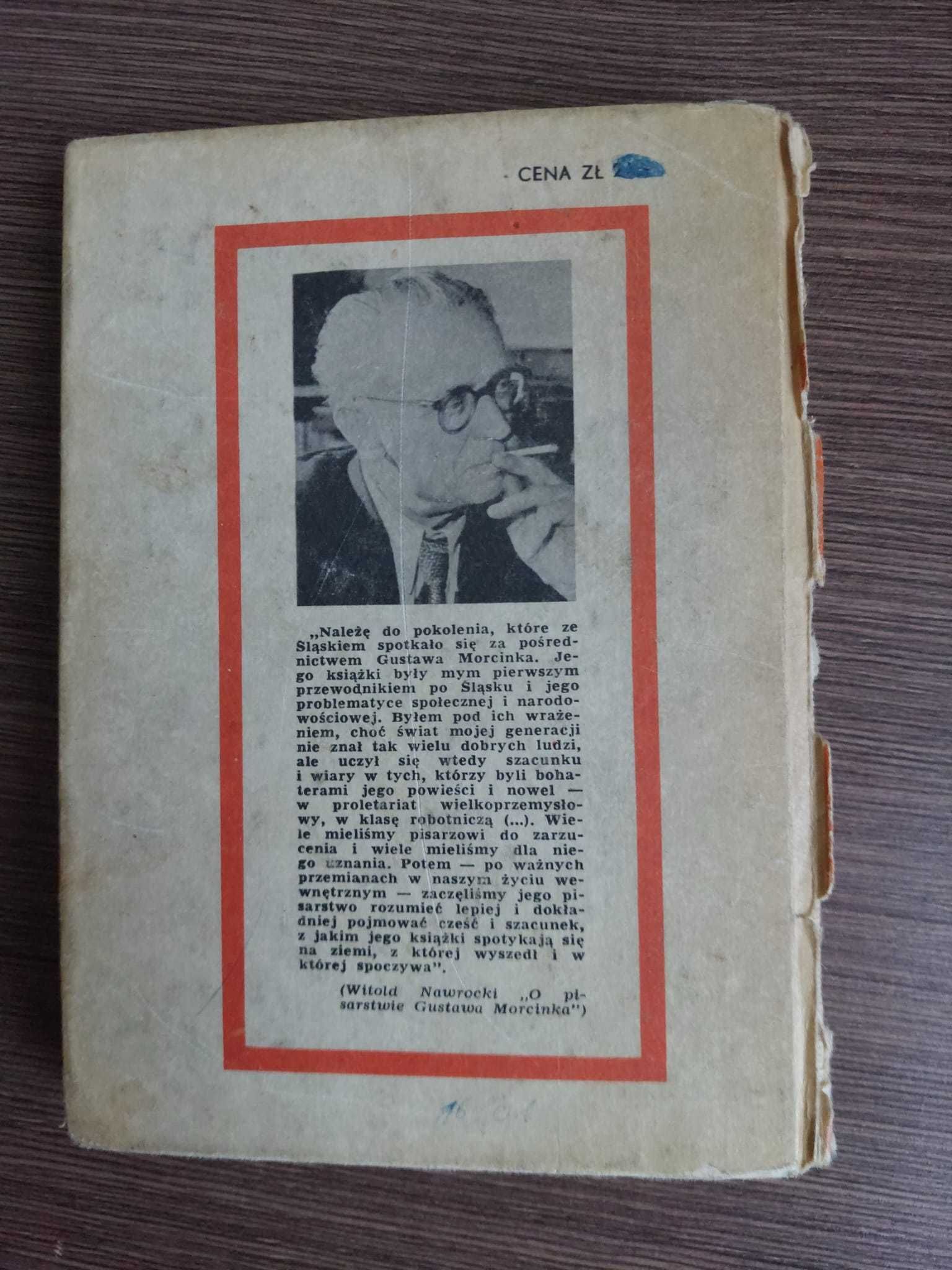 „ Zabłąkane ptaki ” - Gustaw Morcinek - literatura dziecięca