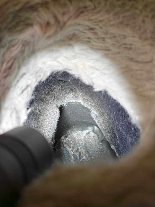 Жіночі зимові чоботи Merrell