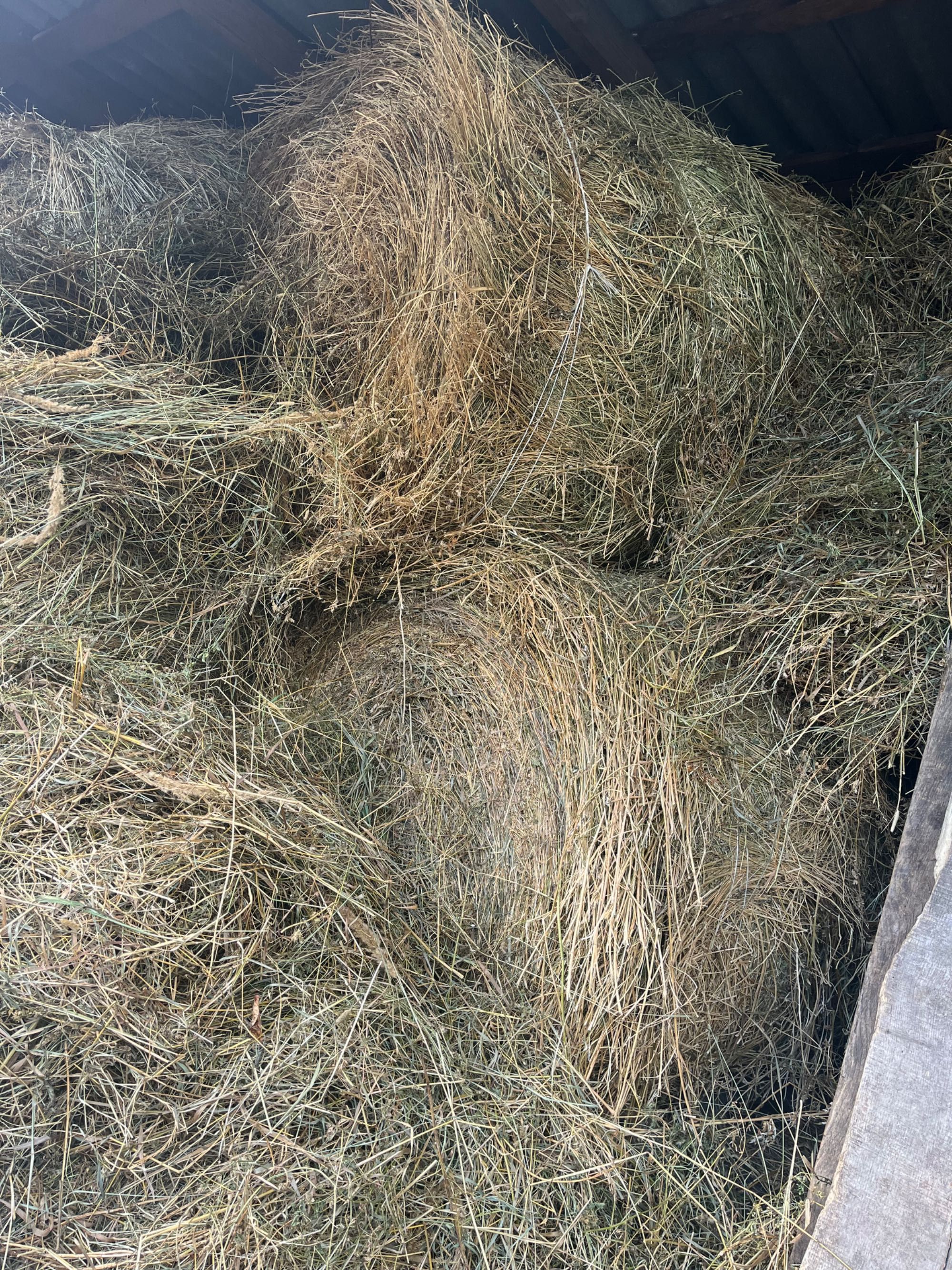 Продам сіно в бухті .