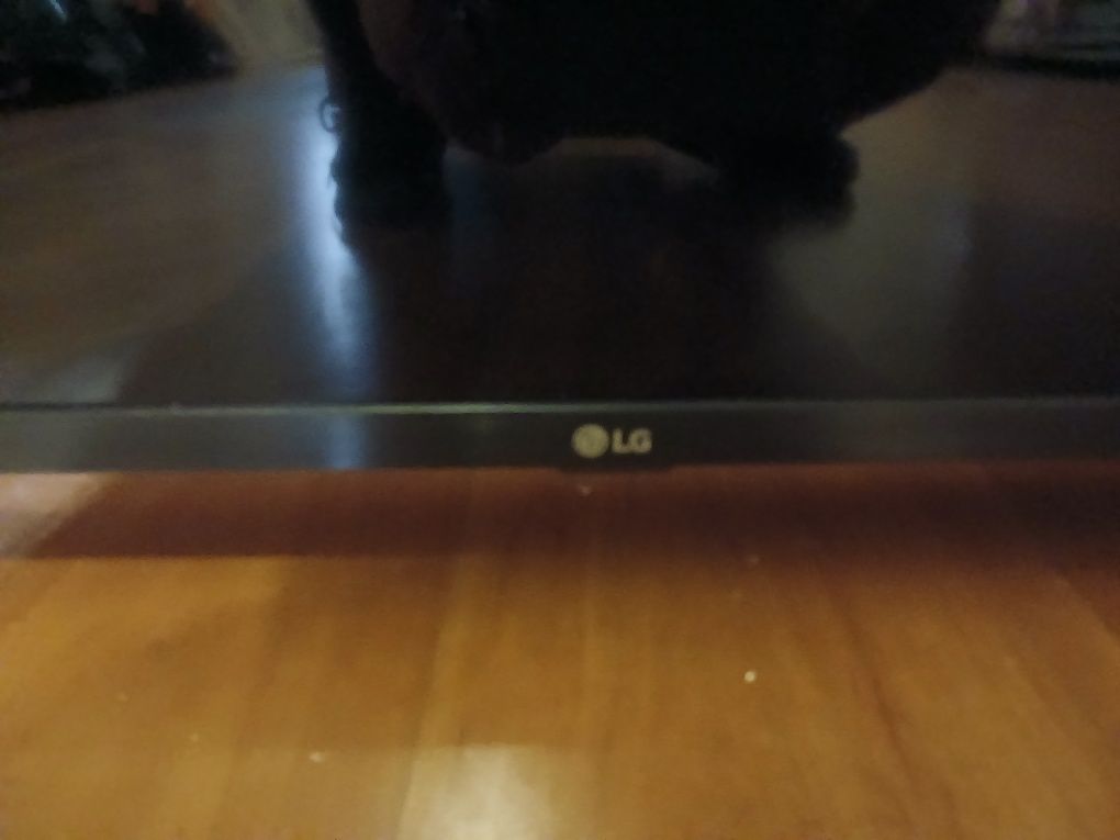 Televisor marca LG avariado
