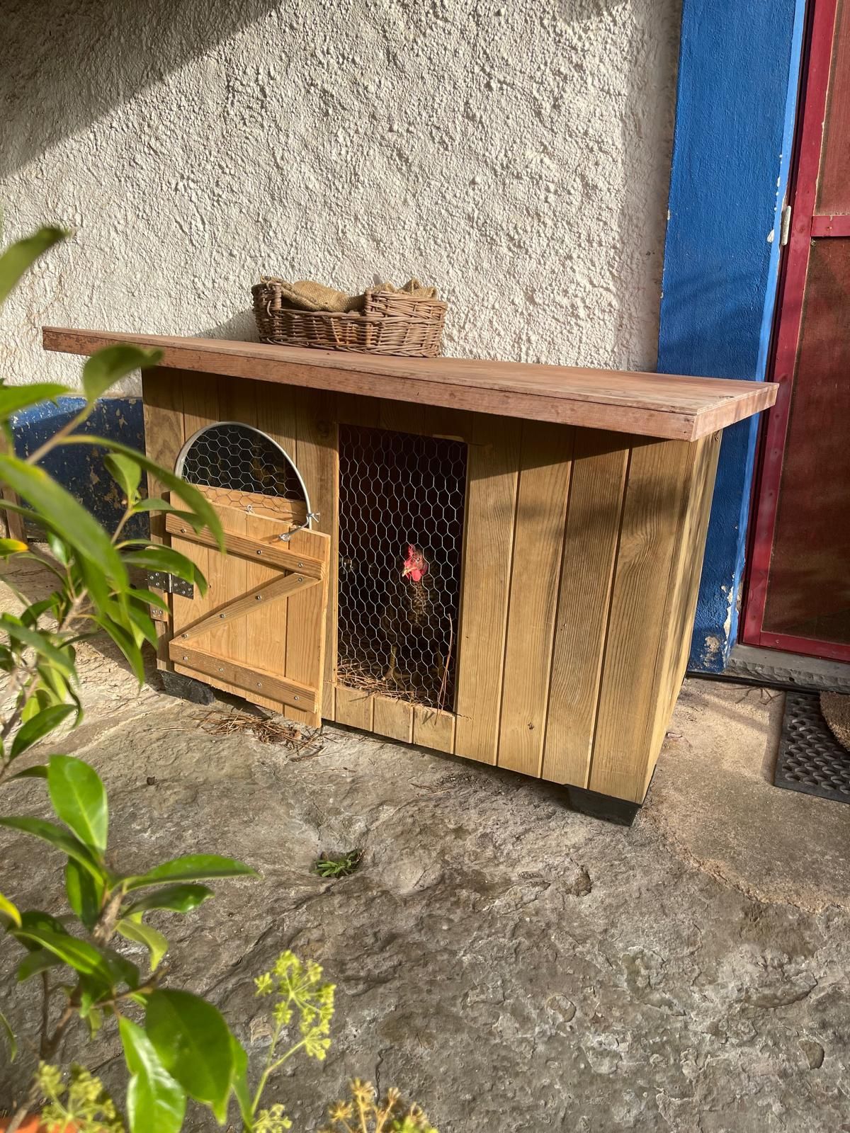 Galinheiro de madeira tratada- Poupe em ovos :)