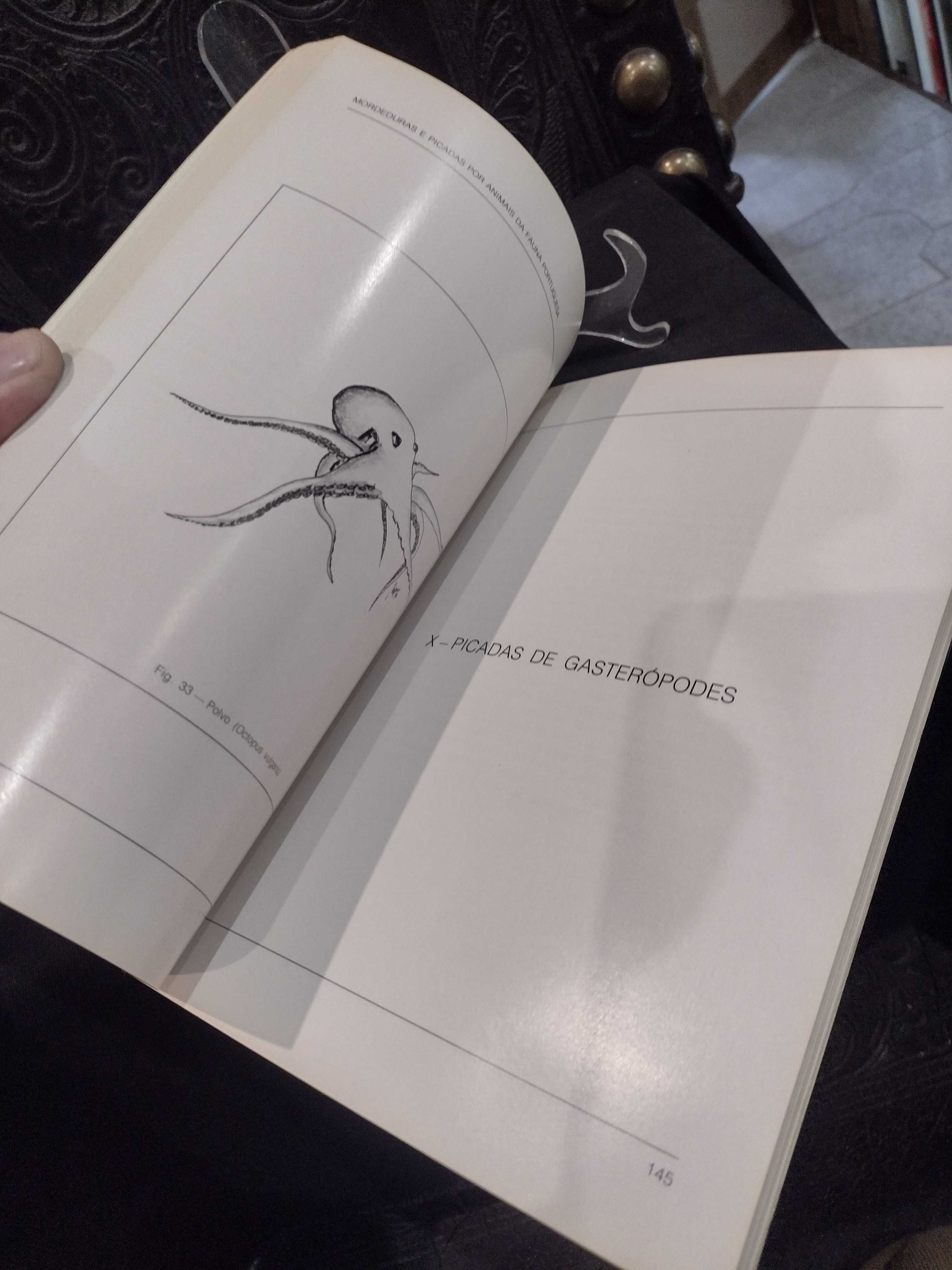 Mordeduras e Picadas por Animais da Fauna Portuguesa