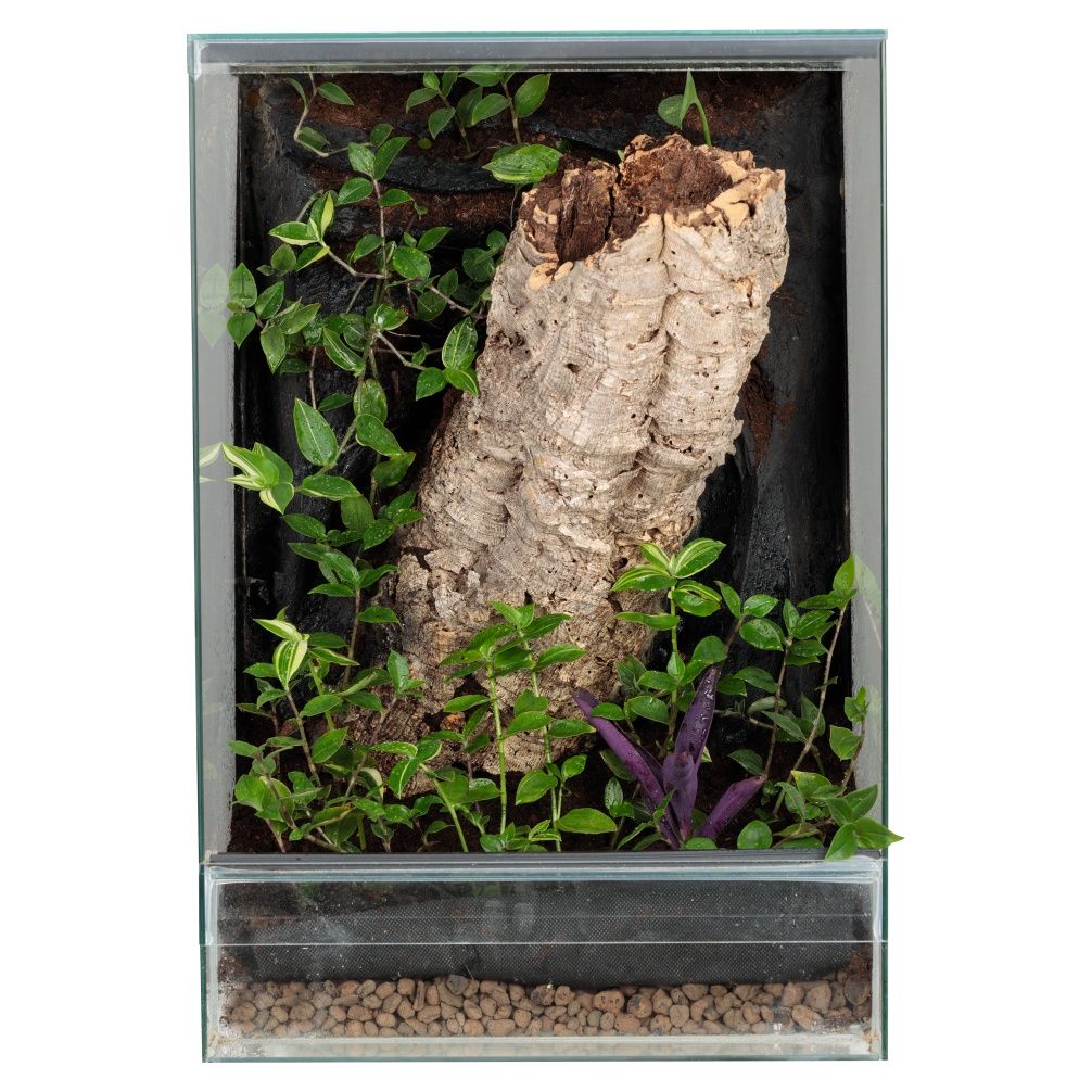 Terrarium las w szkle gekon