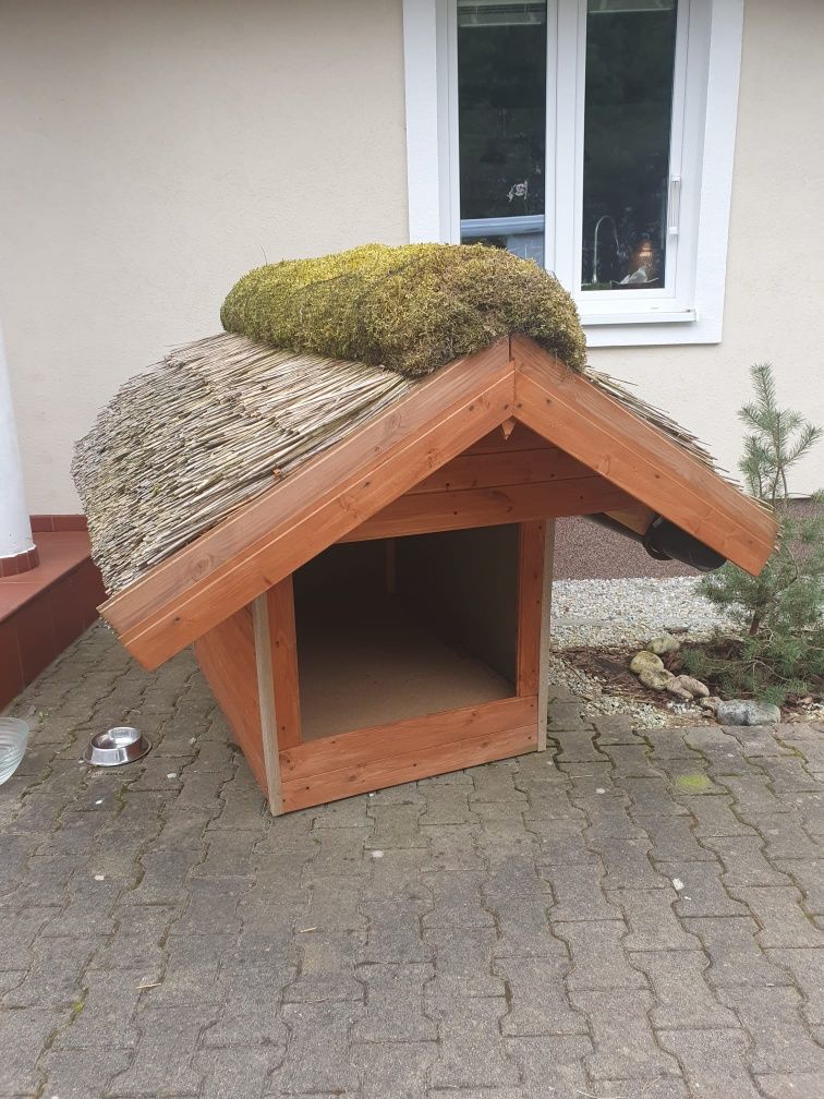 Buda dla psa pokryta strzechą