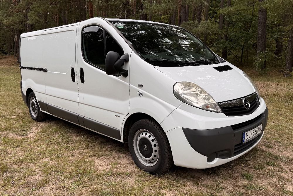 Kamper Van Opel Vivaro / prysznic / lodówka / ogrzewanie /