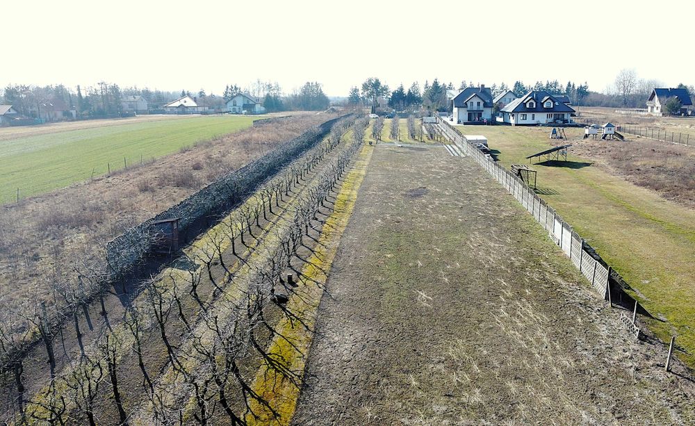 Działka rolno-budowlana 6600m2, gmina Skierniewice, Mokra