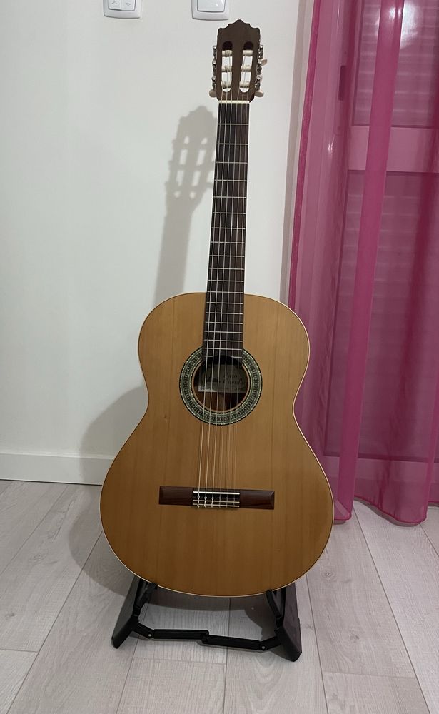 Guitarra Paco Castillo Mate mod. 201