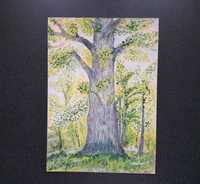 Drzewo obraz akwarela/karton  lata 60- te