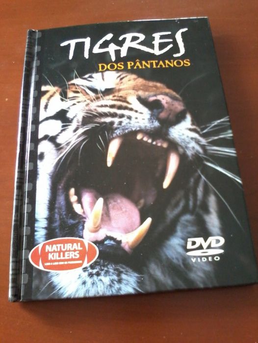 DVD + livro "Tigres dos Pântanos" - Tigre-de-bengala