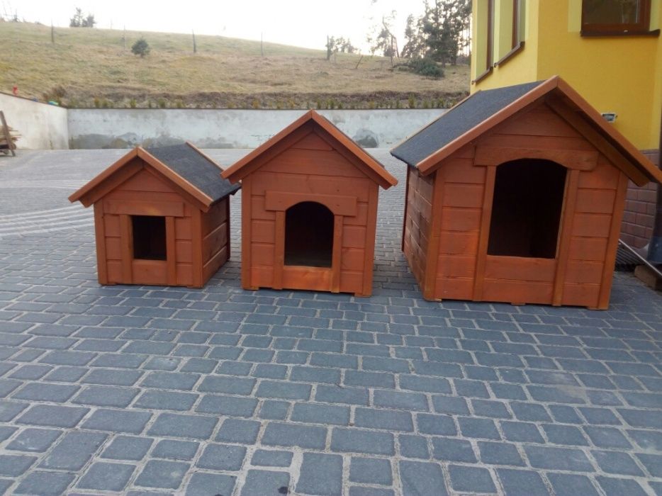 buda dla psa,spaniel,begel