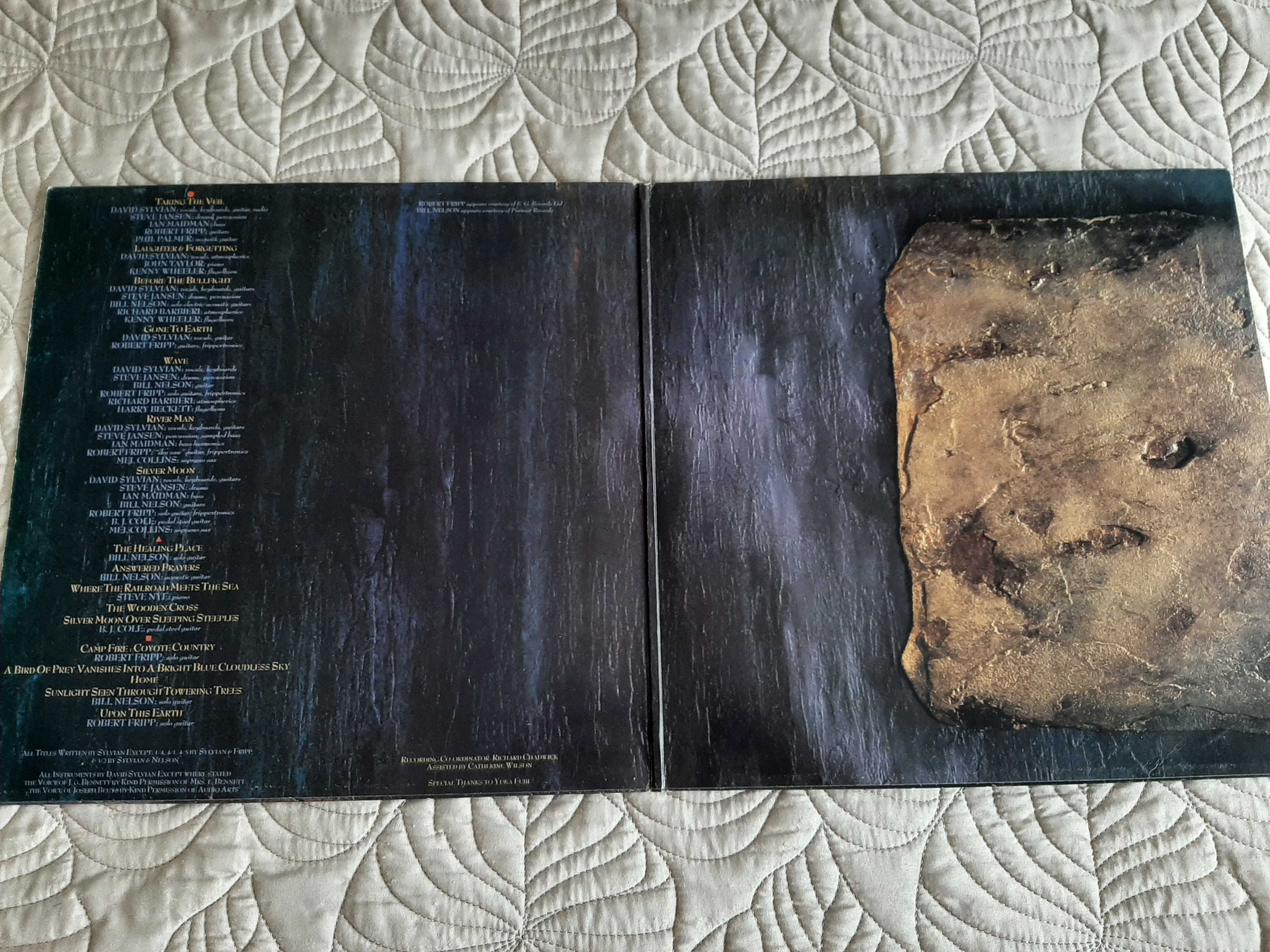 David Sylvian - Gone To Earth - UK - 2 x Vinil LP