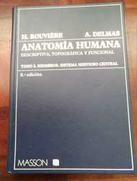 Anatomia Humana Descriptiva, Topografica Y Funcional, Rouviere Delmas