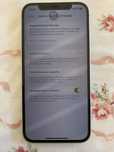iPhone 12 verde