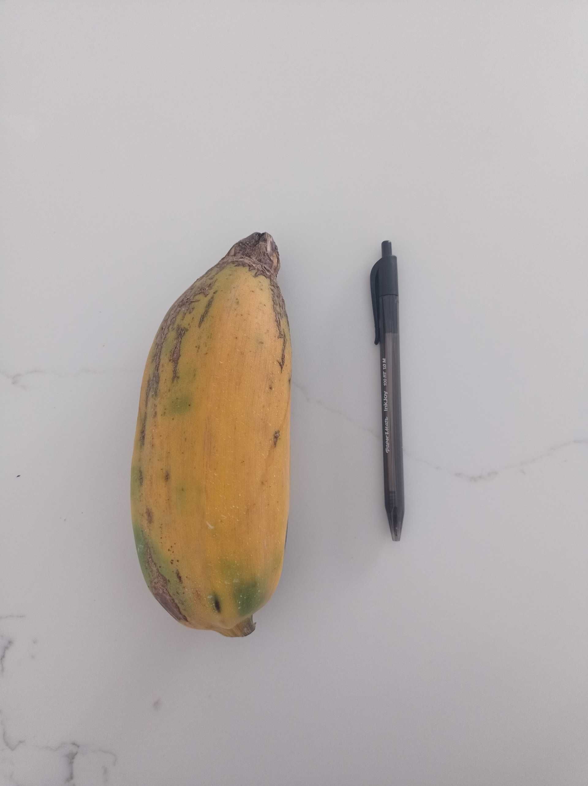 Bananeira, Anona, figueira, amora sem picos...