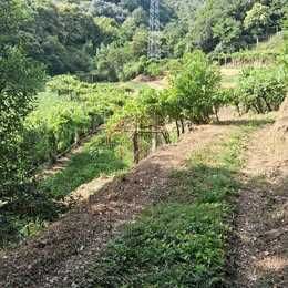 Vendo terreno rustico com casa de apoio