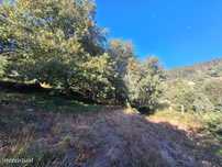 Terreno em Carvoeiro, Viana do Castelo