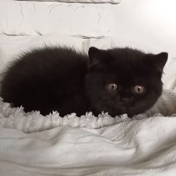 Дівчинка і хлопчик  шукають родину