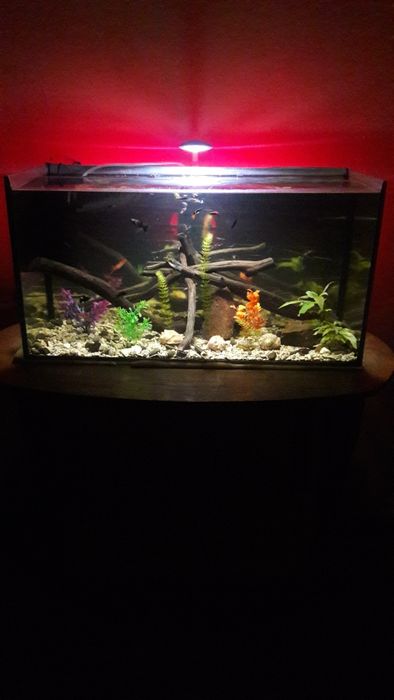 Продам акваріум 120л комплект