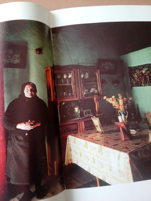 Bert Teunissen Domestic Landscapes