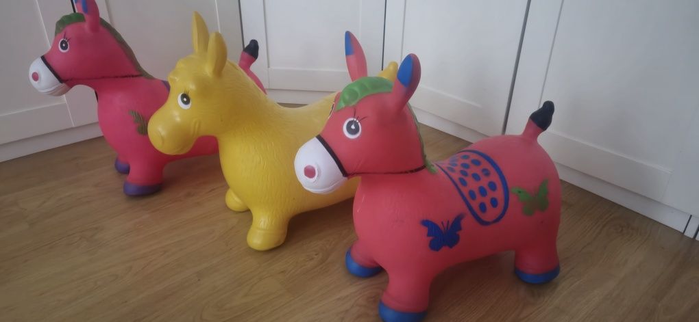 Burrinhos pula pula