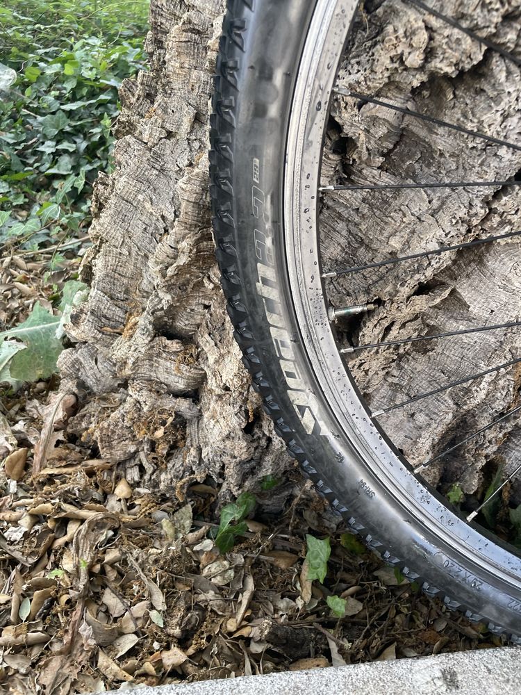 Bicicleta BTT Eleven