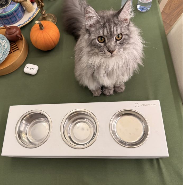 Три миски на підставці для котів Lunch Bar