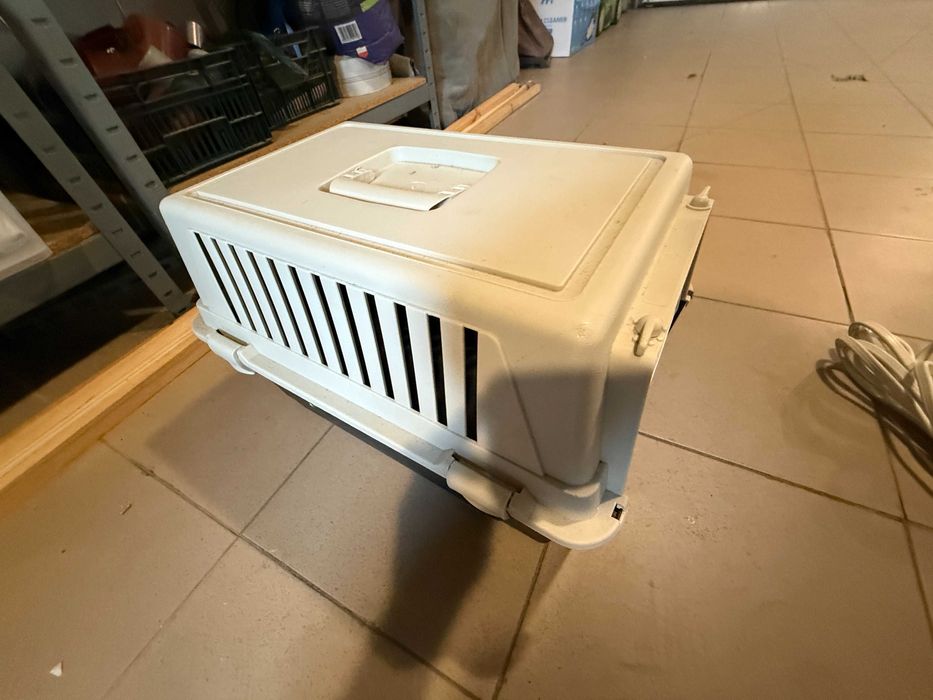 transporter jeż królik inne