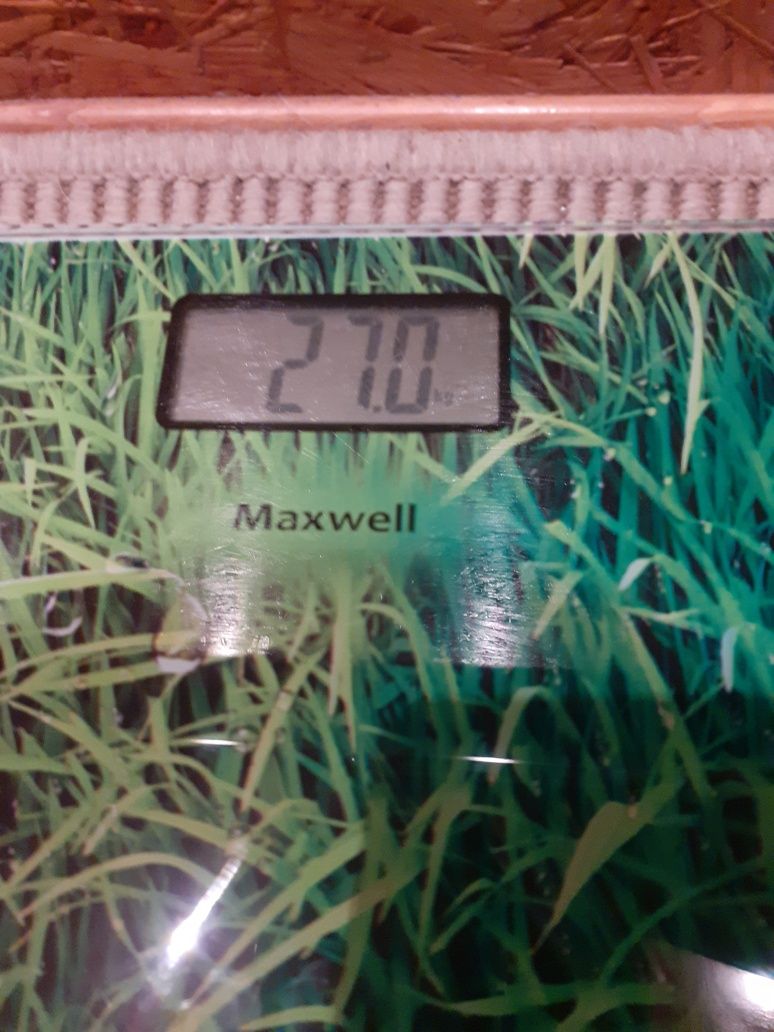 Весы напольные Maxwell MW-2659G ваги 180кг